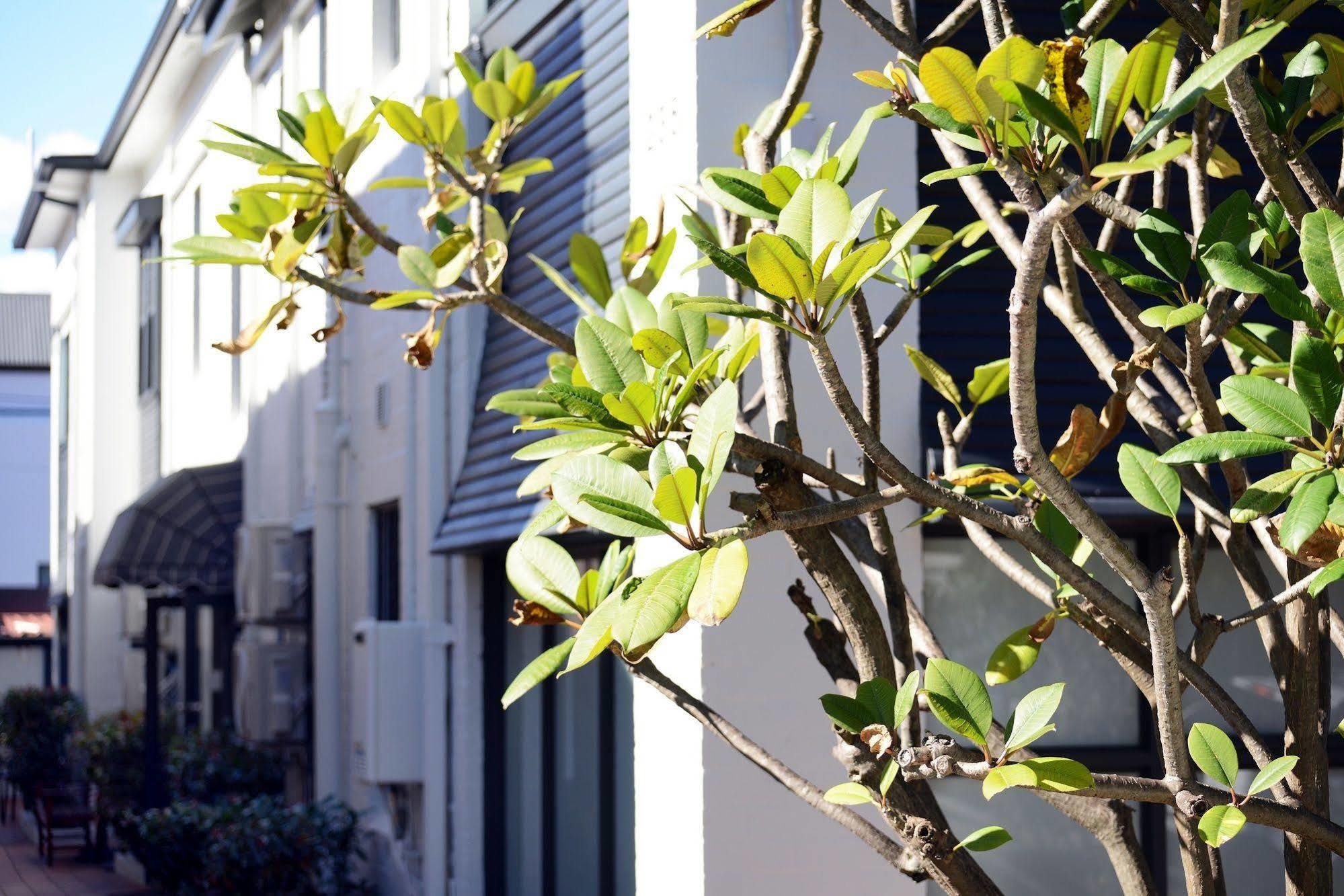 Avoca Randwick By Sydney Lodges Exterior photo